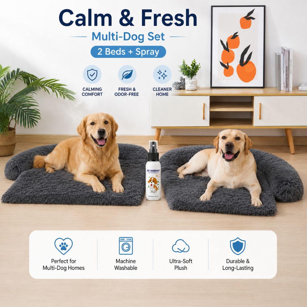 Calm & Fresh — 2 Beds + Spray: two Calming Couch Beds side by side with the deodorizing spray