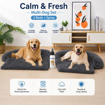 Calm & Fresh — 2 Beds + Spray: two Calming Couch Beds side by side with the deodorizing spray