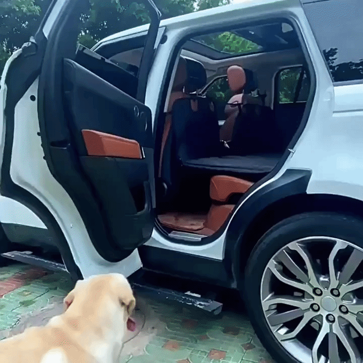 RoadNest™ - The Waterproof Hammock Seat Cover Built for Big Dogs
