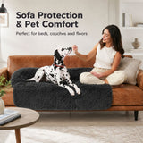 Calming Couch Bed