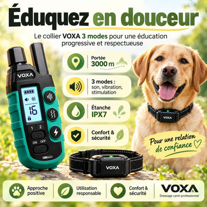 Collier de dressage pour chien VOXA S1, bip, vibration et impulsion, portée 1 000 m